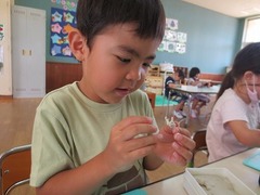 IMG_1073