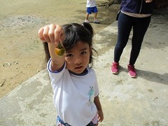 IMG_1260