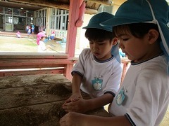 IMG_1265