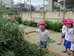 IMG_1706