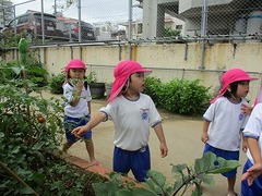 IMG_1707