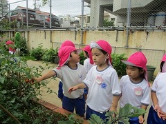 IMG_1708