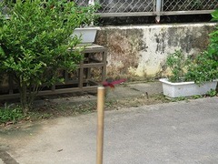 IMG_1710