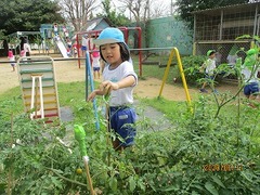 IMG_8755