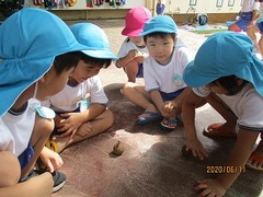IMG_8757