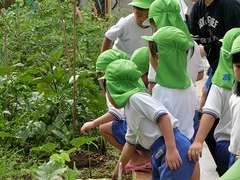 CIMG2611