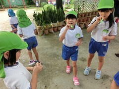 CIMG2628