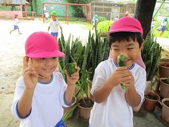 IMG_1559