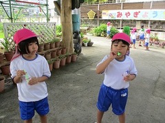 IMG_1564