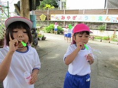 IMG_1567