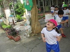 IMG_1569
