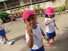 IMG_1570