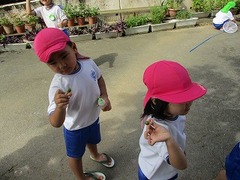 IMG_1571