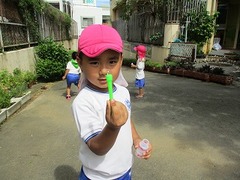 IMG_1585