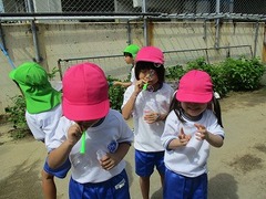 IMG_1587