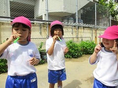 IMG_1590