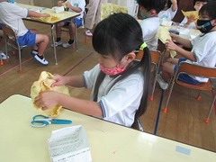 IMG_1153