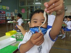 IMG_1491