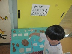 IMG_0991