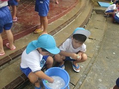IMG_1006