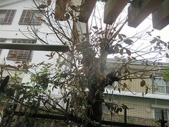 IMG_1010