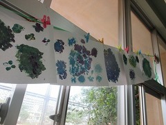 IMG_1029