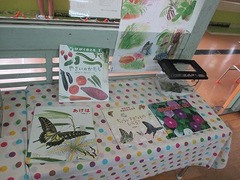 IMG_1033