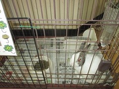 IMG_1045