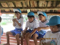 IMG_1170