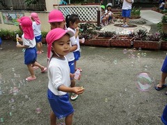 IMG_1291
