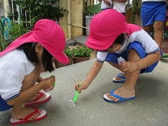 IMG_1318