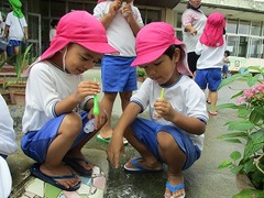 IMG_1326