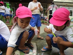 IMG_1328