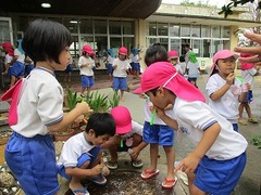 IMG_1335