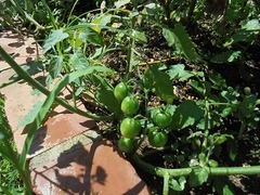 DSC01669