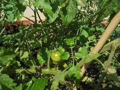 DSC01670