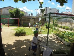 DSC01679
