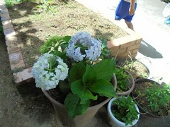 DSC01680