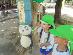 DSC01682