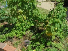 DSC01688