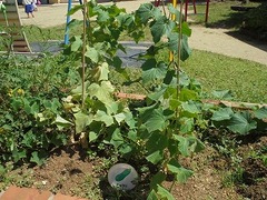 DSC01689