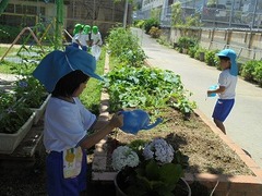DSC01710