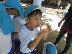 DSC01741