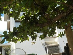 DSC01749