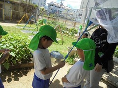 DSC01753