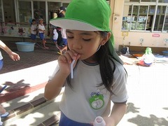 IMG_0977