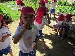 IMG_1079