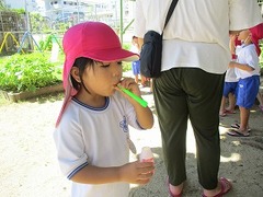 IMG_1088