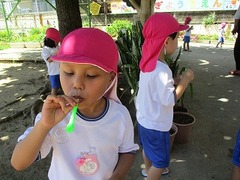 IMG_1114