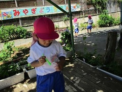 IMG_1125